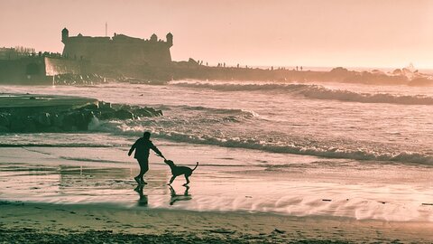 hond en baasje aan strand
